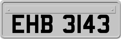 EHB3143