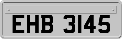 EHB3145