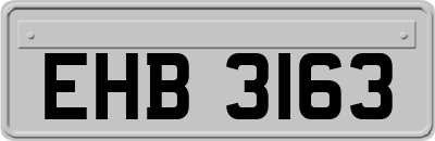EHB3163