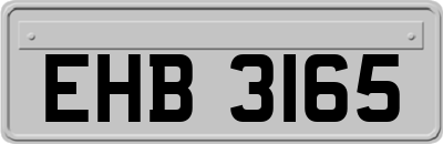 EHB3165