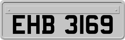 EHB3169