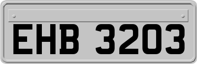 EHB3203