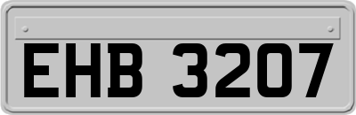 EHB3207