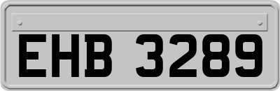 EHB3289