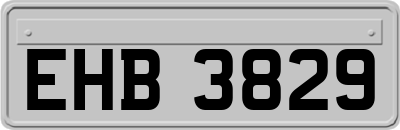 EHB3829