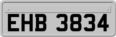 EHB3834