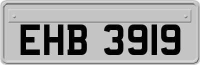 EHB3919