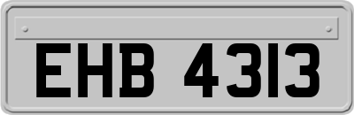 EHB4313