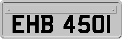 EHB4501