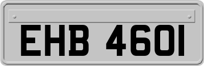 EHB4601