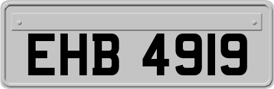 EHB4919