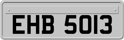EHB5013
