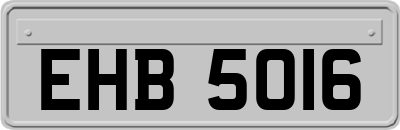 EHB5016