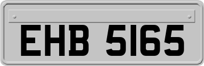 EHB5165