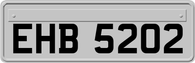 EHB5202
