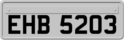 EHB5203