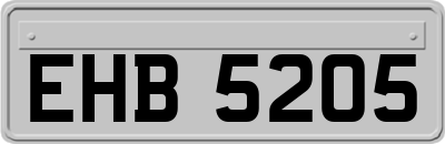 EHB5205