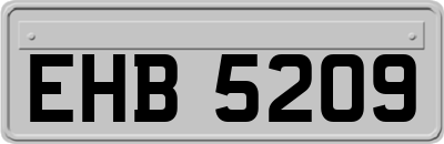 EHB5209