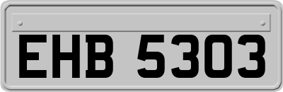 EHB5303