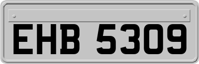 EHB5309