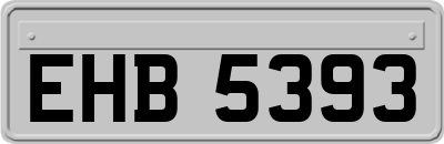 EHB5393