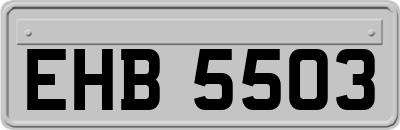 EHB5503