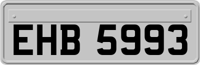 EHB5993
