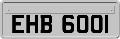 EHB6001