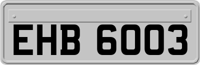 EHB6003