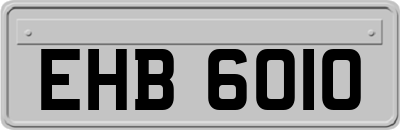 EHB6010