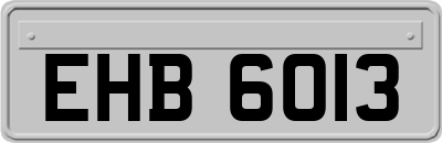 EHB6013