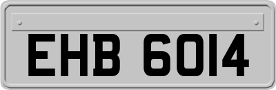 EHB6014