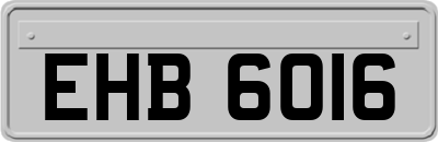 EHB6016