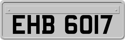 EHB6017