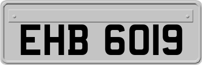 EHB6019