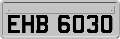EHB6030