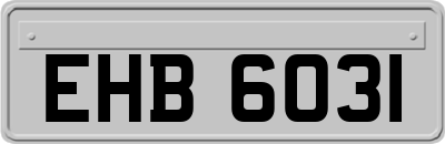 EHB6031