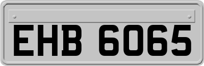 EHB6065