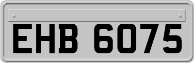 EHB6075