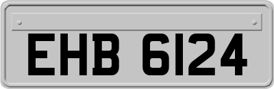 EHB6124