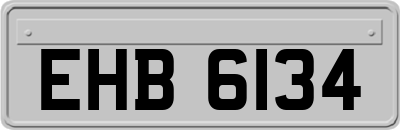 EHB6134