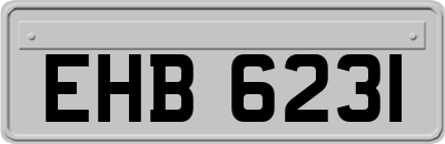 EHB6231