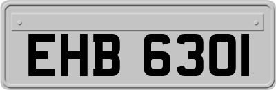 EHB6301
