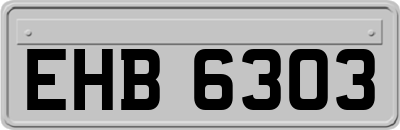 EHB6303
