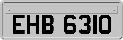 EHB6310