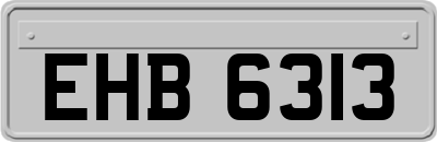 EHB6313