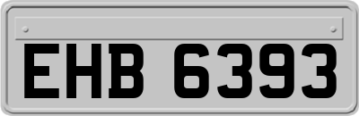 EHB6393