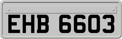 EHB6603