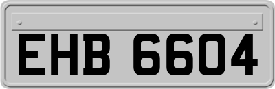 EHB6604