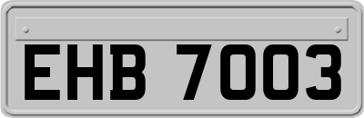 EHB7003